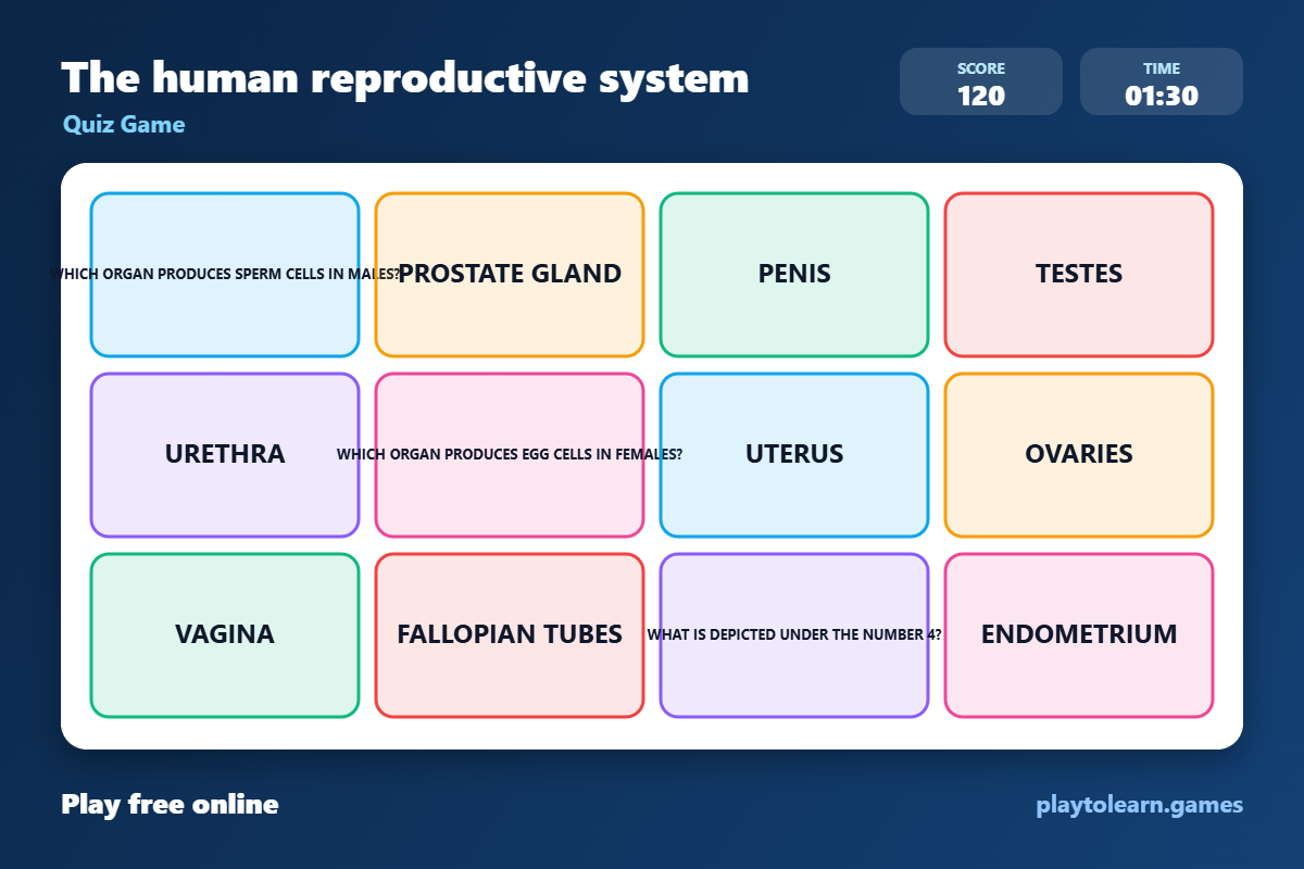 🧍♀️ Body Parts quiz game — printable worksheet preview — for 9th Grade