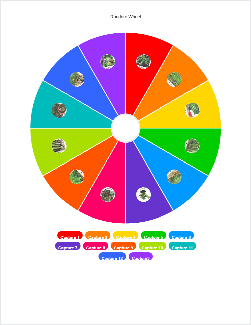 🧪 Science randomwheel — printable worksheet preview — for 3rd Grade