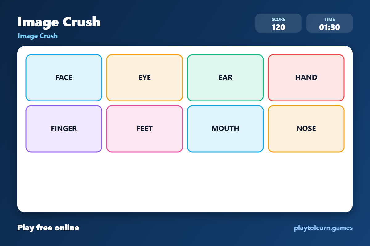 ๐งโโ๏ธ Body Parts image crush โ printable worksheet preview โ for Kindergarten, 1st Grade